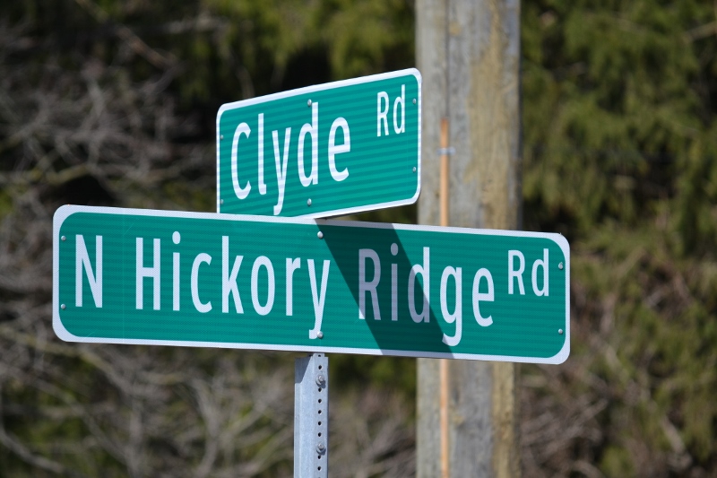 DSC_0213 (800x533).jpg